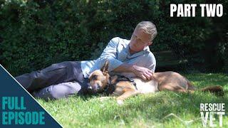 Injured puppy finds the best forever home! | AMBER'S STORY: PART TWO | Rescue Vet with Dr Scott