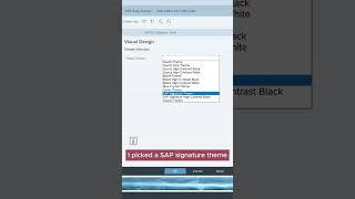 SAP GUI change theme #sap #gui #theme