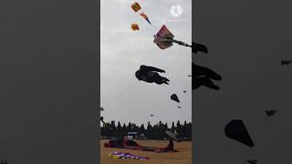 Kite festival hyderabad #kite #flying #festival #hyderabad #masti #funny #latest #shorts #trending