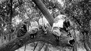 200 Years of Forestry in Kansas