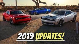 What's New for the 2019 Dodge Challenger Lineup? -  Refreshed Models, Extra Power, Prices, & MORE!