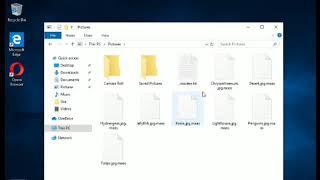 .maas virus | Remove | Recover | in 4 mint easy tutorial