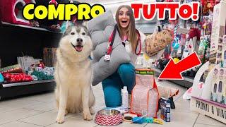 I BUY EVERYTHING MY DOG TOUCHES, FOR THE COMING PUPPY! ️| MARTY AND YUKO