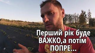 7 Причин не продавати під ЗАКАЗ/Бізнес на вирощуванні овочів і ягід/Вирощування на Поліссі