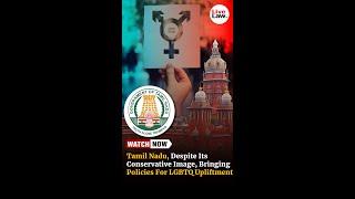 Tamil Nadu, Despite Its Conservative Image, Bringing Policies For LGBTQ Upliftment: Madras HC