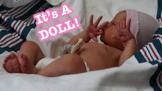 Dream Birthday Reborn Doll Box Opening! Most Realistic Reborn Baby Ever!