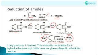 NEET Chemistry Amines – Electrophilic Substitution Reactions in Aromatic Amines