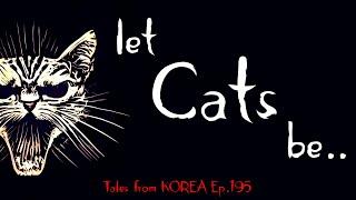 7 Spooky Stories about Cats - Tales from Korea Ep.195