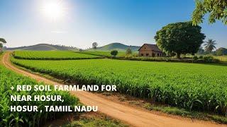 agriculture land for sale near me - Managed Farmland for sale in Hosur