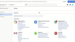 Guidelines to configure Google Application