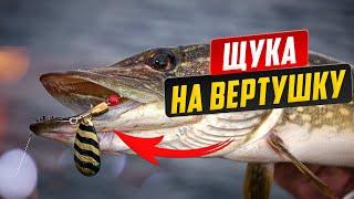 Вертушка - самая лучшая блесна. Щука на вертушку, окунь на вертушку.