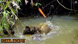 HISTERIS..!! Akibat adu otot pemancing vs ikan besar #PR-170