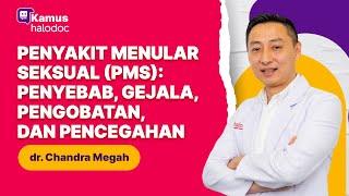 Penyakit Menular Seksual: Penyebab, Gejala, Pengobatan, dan Pencegahan