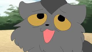 The return of Graystripe