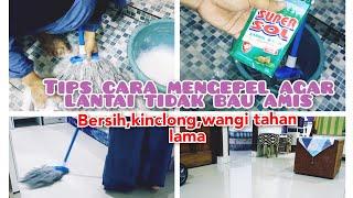 TIPS CARA MENGEPEL AGAR LANTAI TIDAK BAU AMIS||BERSIH,KINCLONG,WANGI TAHAN LAMA