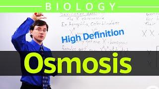 Osmosis(HD) - Brightstorm Biology