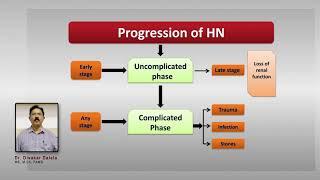 PUJ Obstruction Why some kidneys lose function and not all