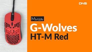 Распаковка мыши G-Wolves HT-M / Unboxing G-Wolves HT-M