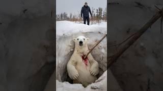 The bear cub was badly hurt by a branch, but the man bravely saved him.