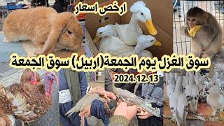 سوق الغزل يوم الجمعة انواع الحيوانات والطيور مع الأسعار 2024/12/13| سوق الجمعة اربيل