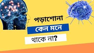 পড়া মনে রাখার কৌশল । Strategy to Learn Anything Permanently