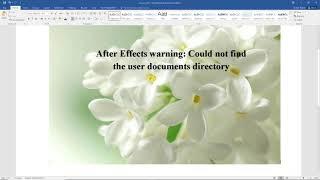 Could Not Find The User Document Directory In Adobe After Effects / English Version