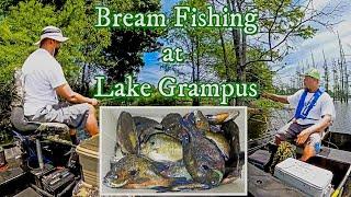 Bream Fishing at Lake Grampus with my buddy Evin