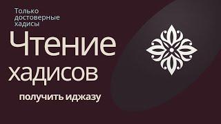 Получить иджазу к Сахих Бухари и другим сборникам хадисов. Академия передатчиков хадисов