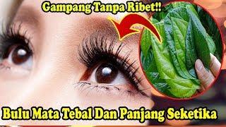 Terbukti !! Tips Ampuh  Melentikan Dan Memanjangakn Bulu Mata