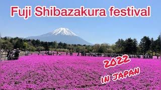 Fuji Shibazakura Festival 2022 - ජපානයේ ශිබසකුරා සැණකෙලිය