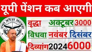 UP पेंशन कब आएगी 2024 | अक्टूबर नवंबर दिसंबर 2024 | UP Pension Kab Aayegi | वृद्धा, विधवा दिव्यांग |