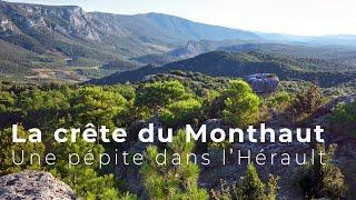 La crête du Monthaut : Une pépite dans l'Hérault
