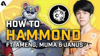 How To Hammond | Overwatch League Pro Hero Tips ft. Ameng, Muma & Janus