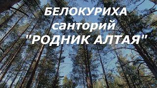 Родник Алтая,  утешительный обзор