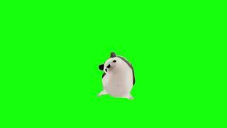 Hedgehog Dancing to Bad Romance - Green Screen