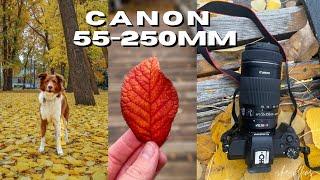 Canon EF-S 55-250mm Nature Photo Walk | Canon M50 Lens