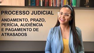 Processo Judicial: andamento, prazo, perícia, audiência e atrasados!