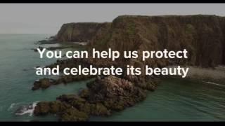 Help us celebrate and protect the Bay of Fundy!