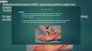 Dr. Michael Garcia, Hand and Wrist Examination - Florida Orthopaedic Institute