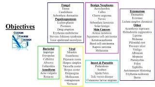 Dermatology Review PODs Part 1 PA NP Didactic PANCE PANRE