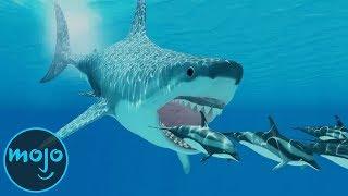 Top 10 Facts About the Megalodon