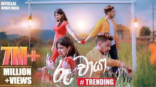 Ruu Chaya Official Music VIdeo - D brothers | Shashi X Chathumi | Adare Sanda Ma Mage Sitha රූ චායා