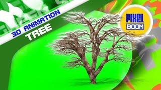 Green Screen Trees Leaves Wind 3D Animation PixelBoom