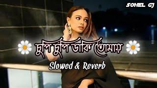 Chupi Chupi  চুপি চুপি ডাকি তোমায় | Slowed & Reverb | Milon & Puja | Bangla Lofi Song | Sohel Gj