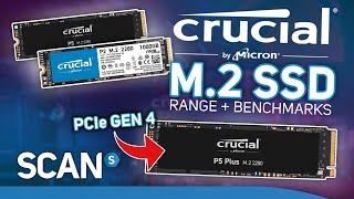 Crucial P5 PLUS Gen 4 NVMe SSD Overview and Benchmarks - Is this the SSD for you?