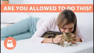 If your CAT Lets You Do THESE, You Have WON Their HEART ️ (7 Signs Your CAT LOVES YOU)