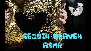 ASMR SCRATCHING SEQUIN Pillow / NO TALKING 