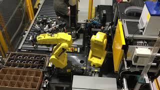 Fanuc Robot Insert Molding Cell