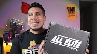 All Elite Crate July 2024 | AEW All Out Mystery Box Unboxing