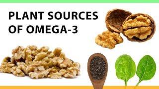 Plant Sources of Omega-3